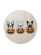 Sand + Paws Pumpkin Harvest 12 oz scented candle