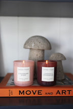 Strawberry Shake 10 oz scented candle