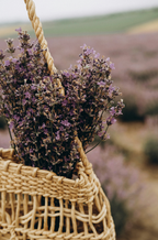Cedar & Lavender 110 ml Reed Diffuser