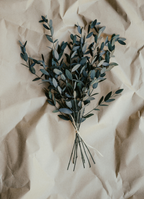 Eucalyptus 107 ml Room Spray