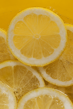 Limoncello 15.7 oz Liquid Hand Soap