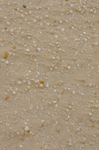 Ocean & Sea Salt 110 ml Reed Diffuser