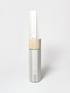 Tropical Guava 100 ml Reed Diffuser