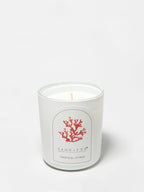 Tropical Citrus 10 oz scented candle